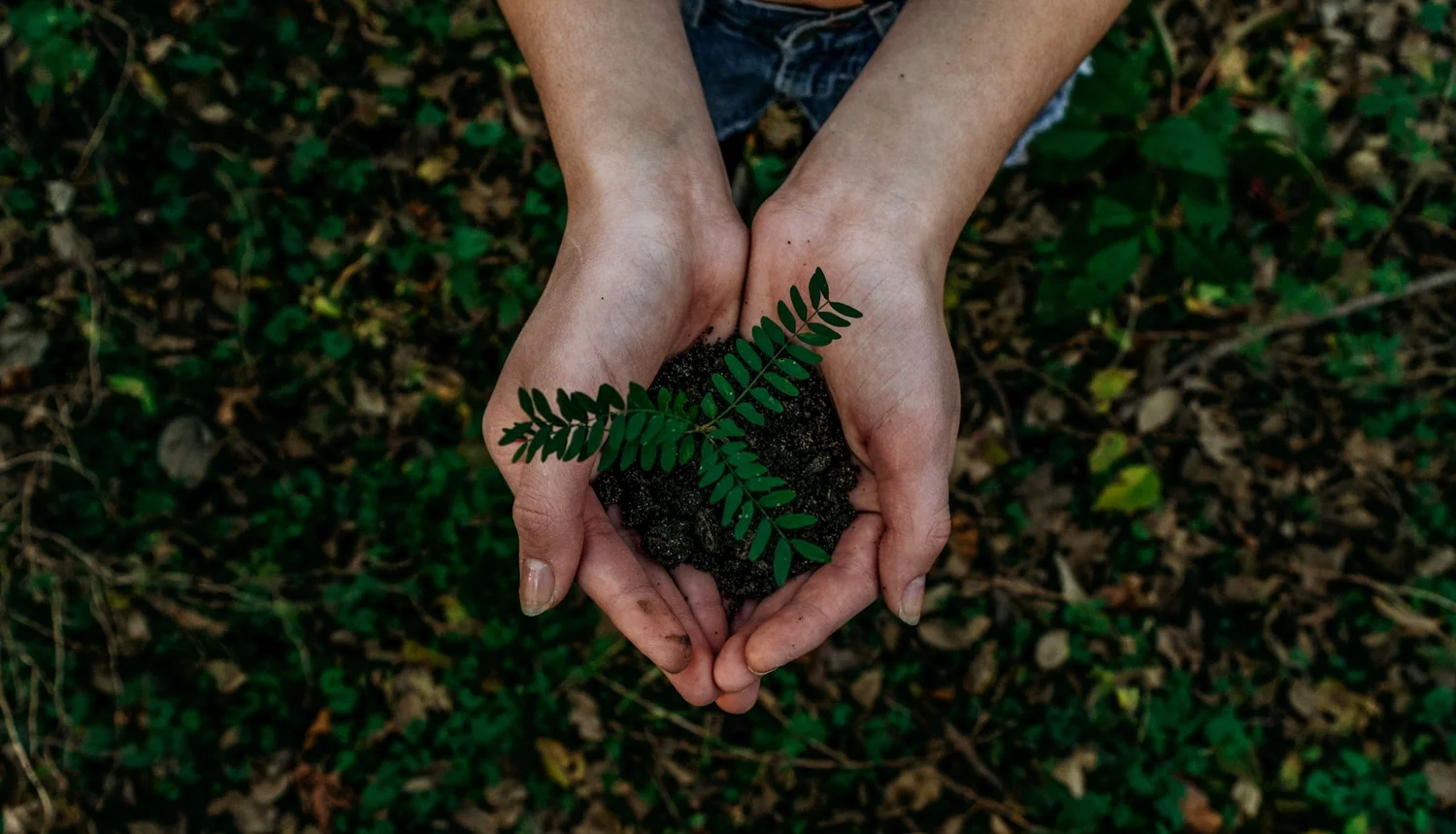 Sustainable green workspace